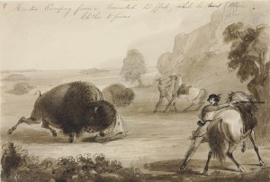 Hunters Escaping from a Wounded Buffalo, While He Tears Their Clothes to Pieces